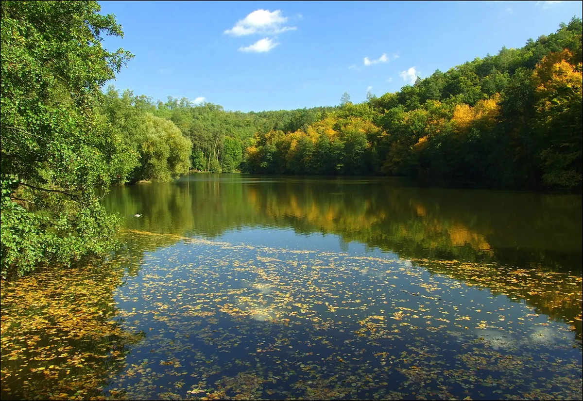 Mariánské údolí Valley Hiking: A 2-Day Brno Nature Guide