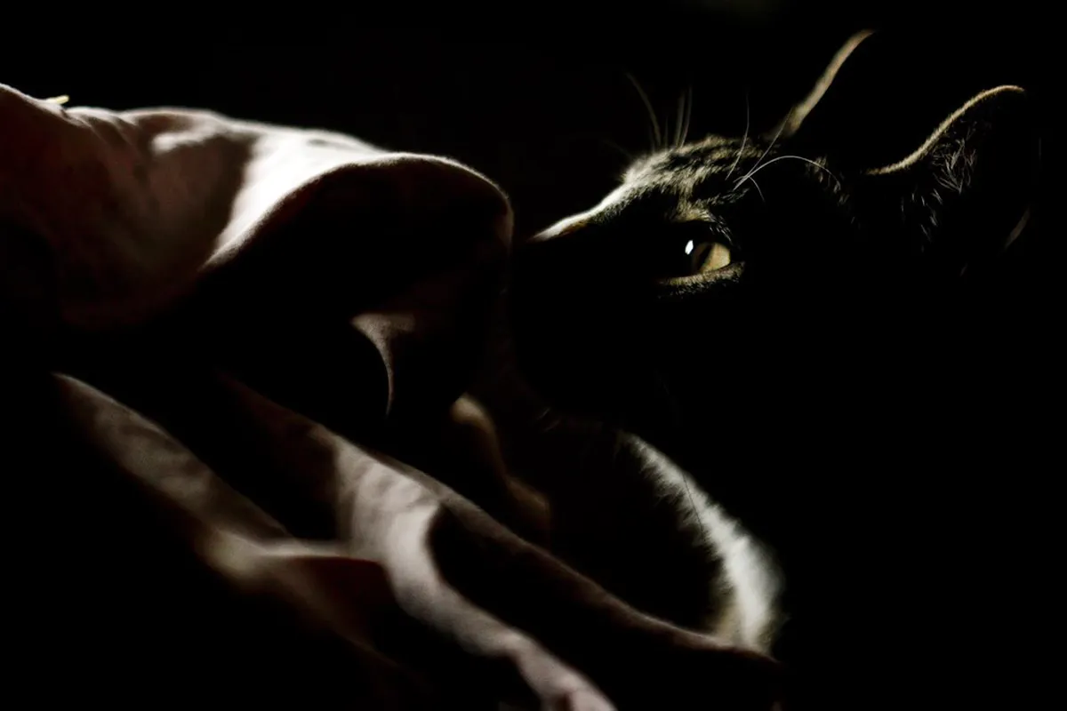 10 Secret Places in Brno: Hidden Gems to Visit (2026)