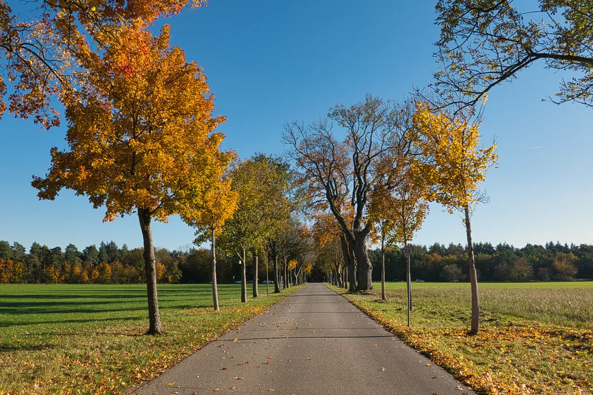 Is the Castle Tower and Museum Worth It? (2026 Review)