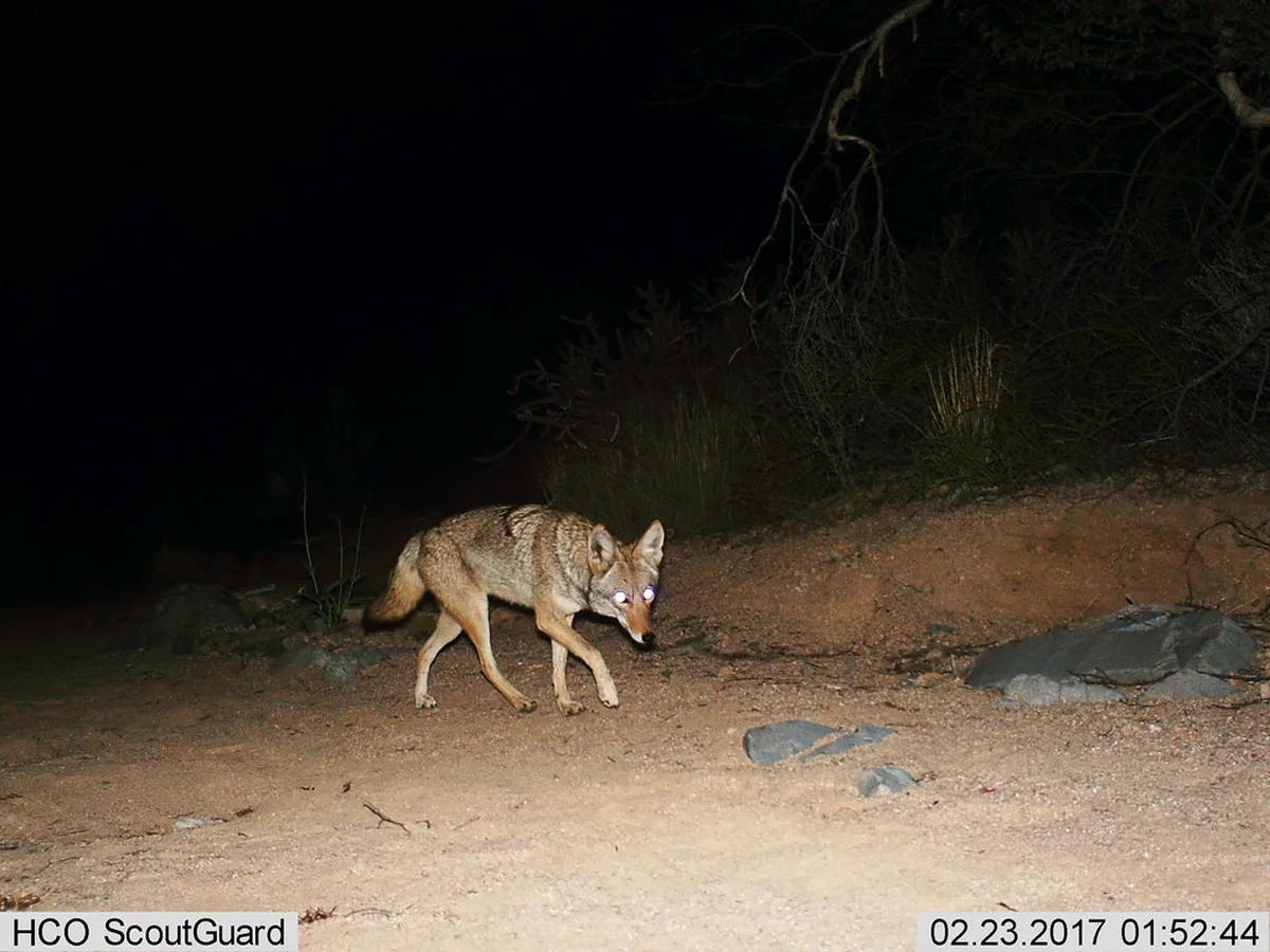 Explore Latrán District Hidden Alleys: 2-Day Itinerary