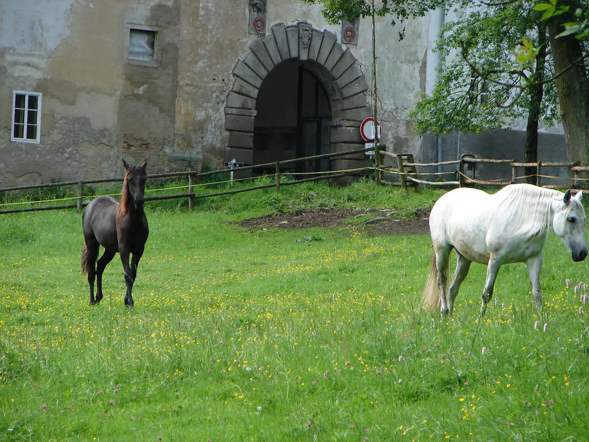 Vyšší Brod Monastery Day Trip Guide: Top 10 Sights