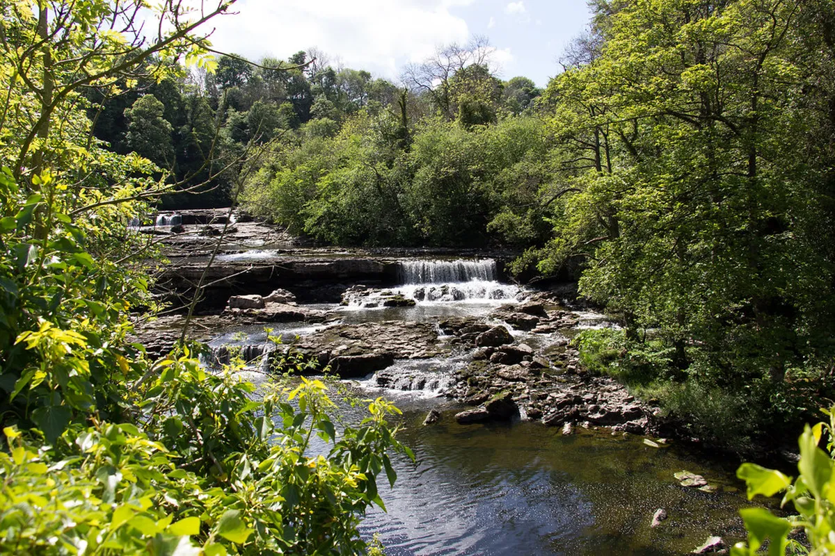 Visit the Deer Leap Limestone Statue in Karlovy Vary