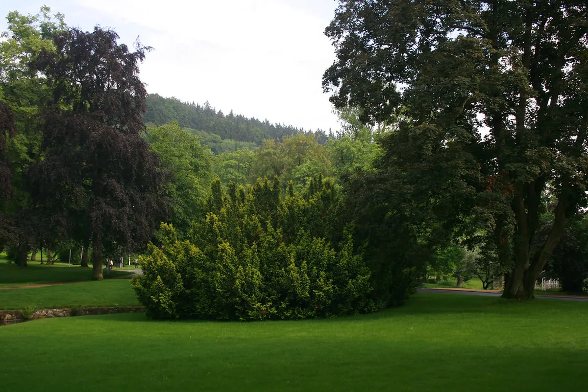 10 Best Things to Do: Mariánské Lázně Sightseeing Guide