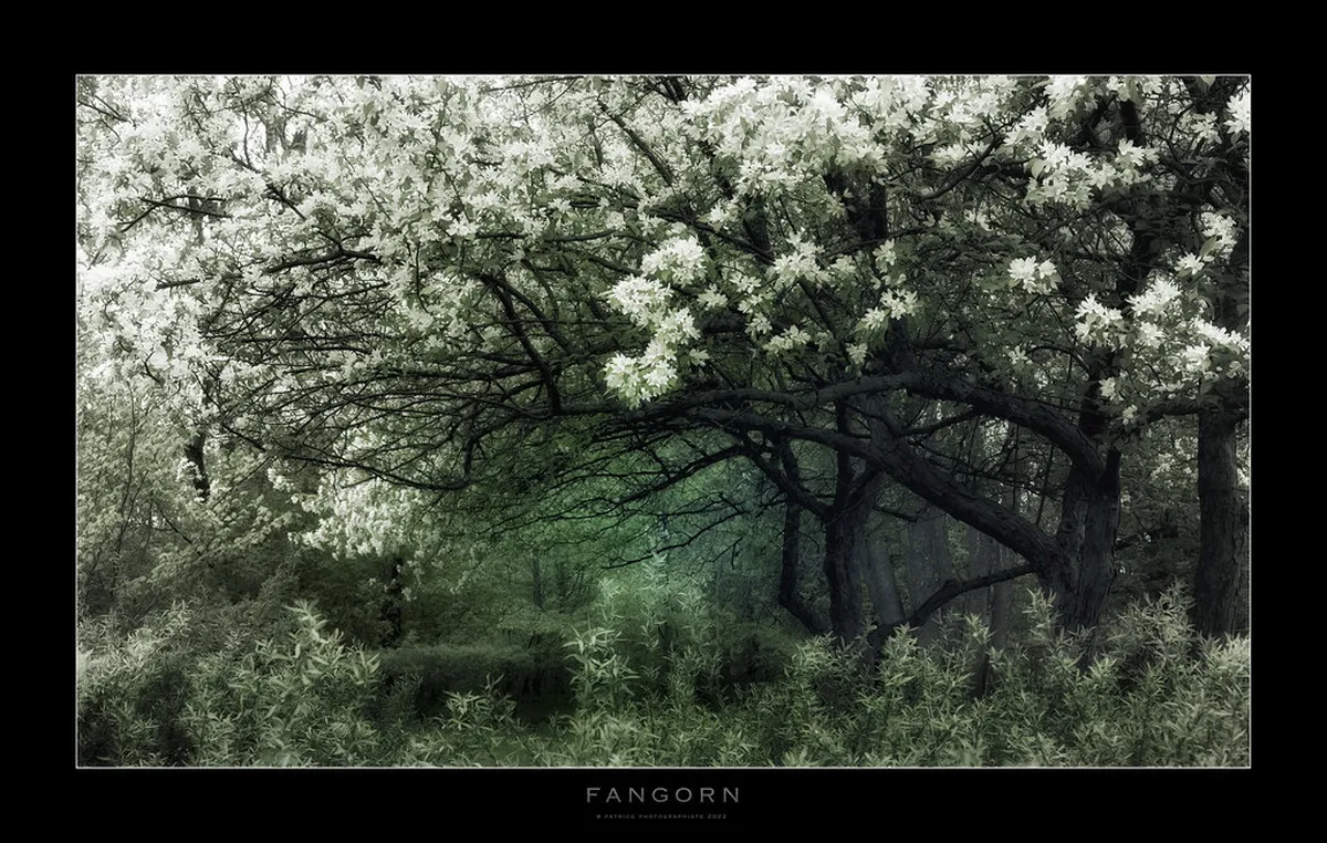 12 Dark History and Legends of Olomouc to Explore