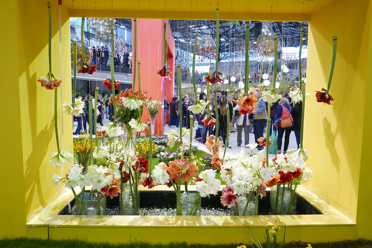 Best Time to Visit Flora Olomouc Exhibition Grounds