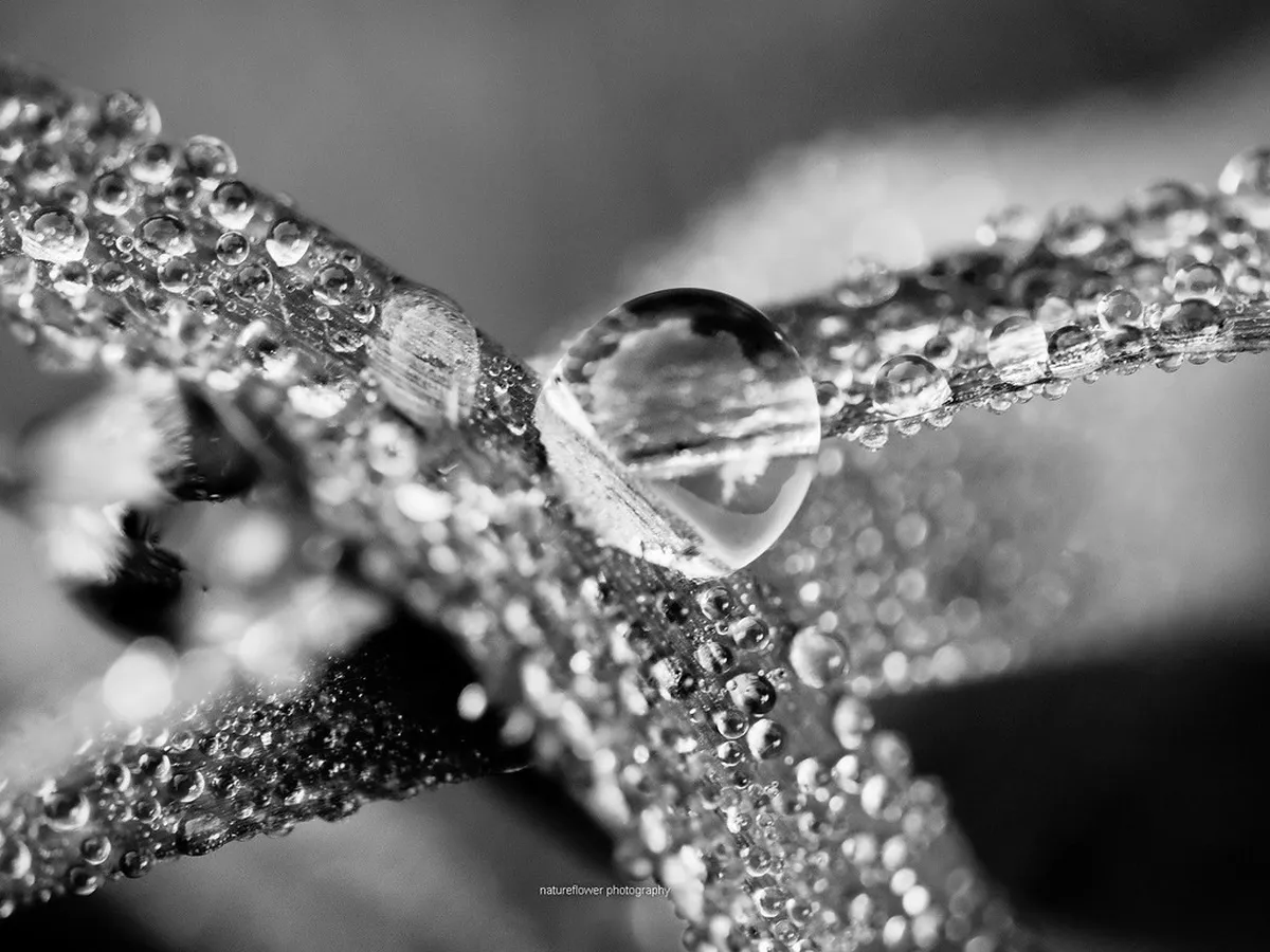 10 Hidden Gems in Bezručovy Sady: Olomouc Secret Spots