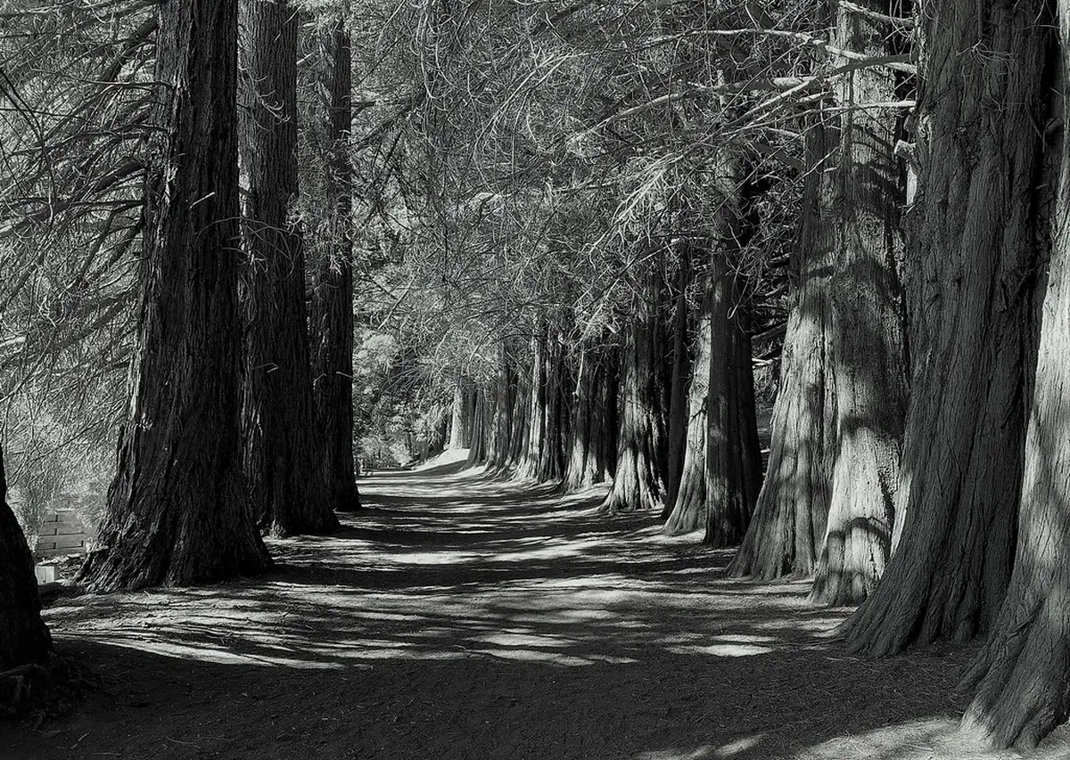 10 Best Secret Viewpoints in Olomouc for 2026