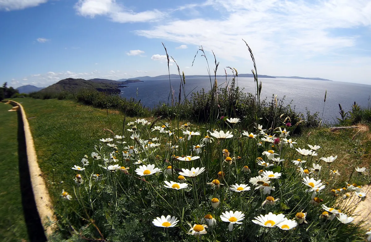 Meditation Garden Plzeň Tickets: Top 10 Sights to See
