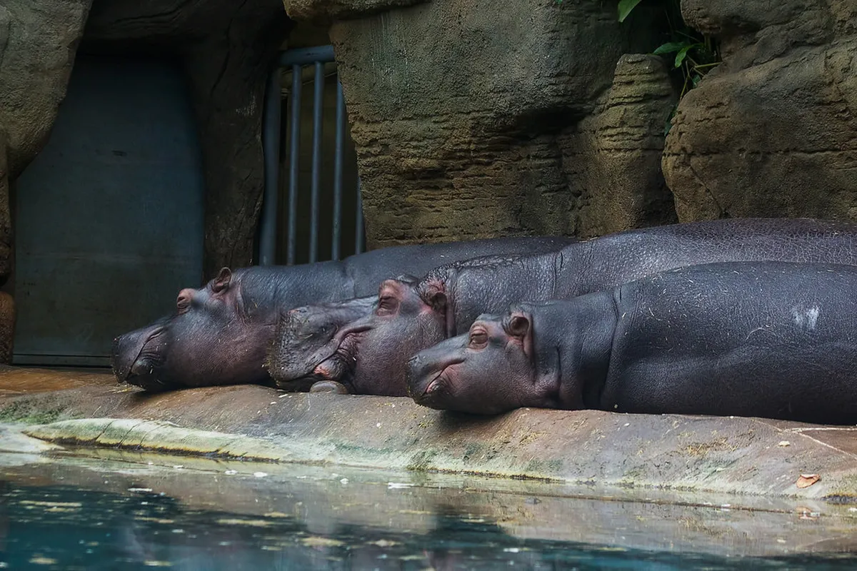 Prague Zoo and Family Attractions: 12 Best Kids' Activities